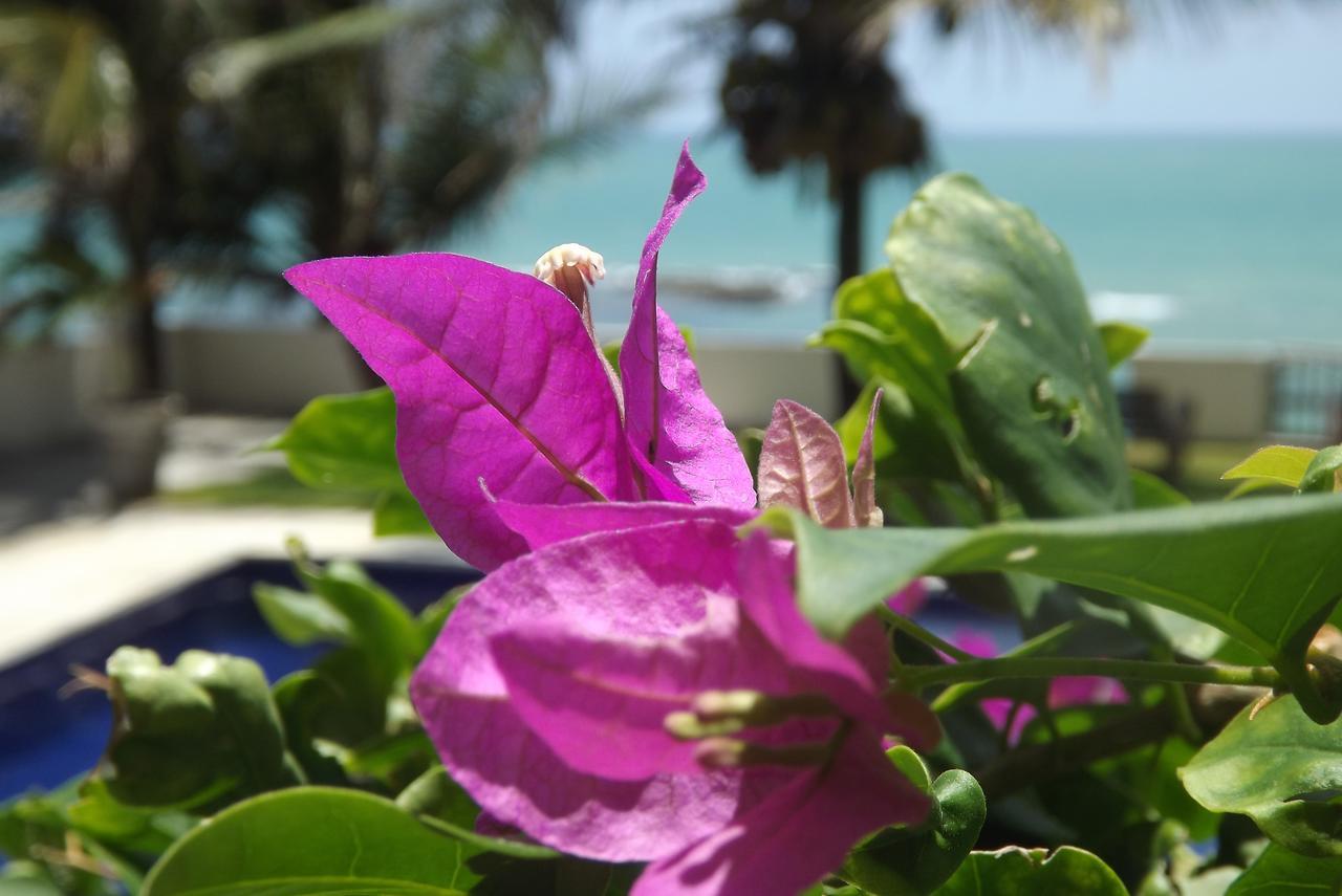 Sereia Do Mar Pousada E Restaurante Ltda จากูมา ภายนอก รูปภาพ